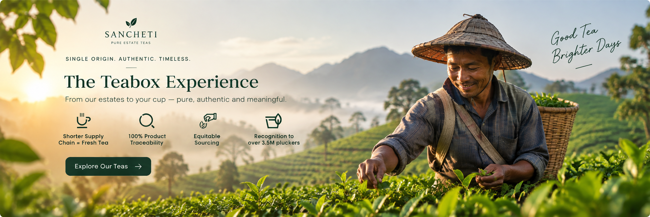 Special Offers - Curated Pure Estate Teas