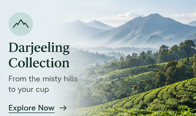 Darjeeling Collection - From the misty hills to your cup - Explore Now